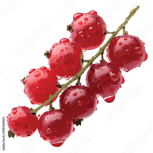 Vibrant Red Currants: A close-up shot of a cluster of fresh, ripe red currants, glistening with droplets of water, evoking freshness and culinary delight.