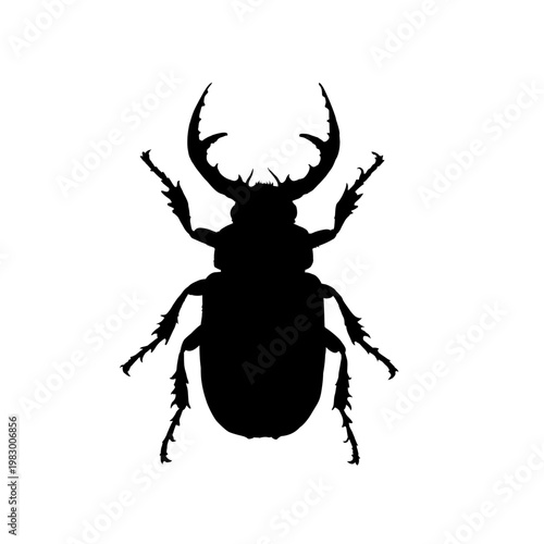 beetle silhouette - vector illustration