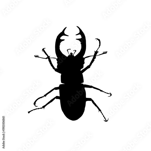 Stag beetle silhouette - vector illustration