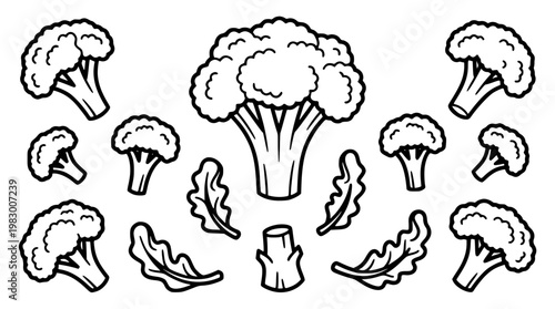 Black and white vector graphic of various cauliflower illustrations