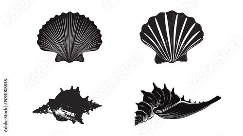 Silhouette of a seashell vector illustration minimalist ocean marine shell outline simple beach nature design coastal summer concept