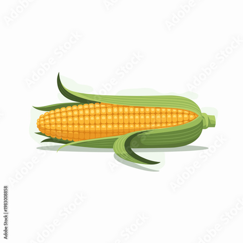 A vibrant illustration of a ripe ear of corn with its green husks partially peeled back, revealing the golden kernels.