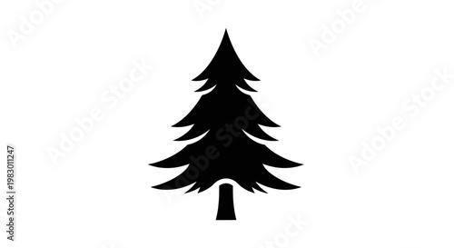 Black silhouette of a pine tree.