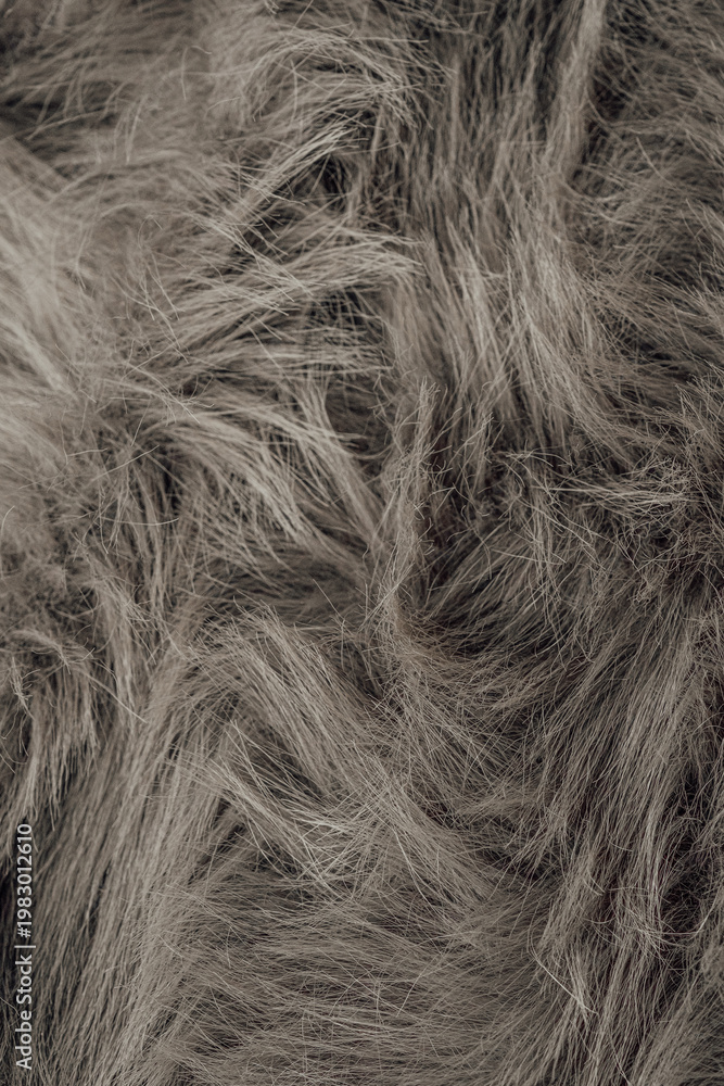 Obraz premium Detailed view of fluffy luxurious soft shaggy dark grey faux fur textile background pattern