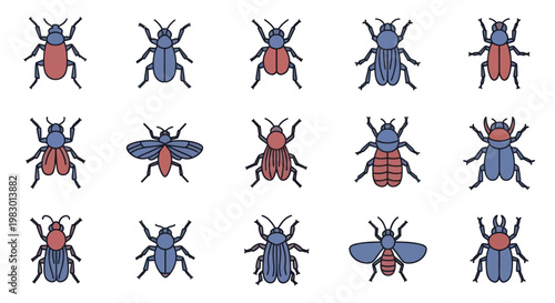 Collection of various beetle insects.