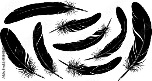 Collection of six detailed black bird feathers floating in different orientations, elegant silhouette graphic design, isolated on white background

