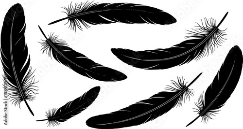 Collection of six detailed black bird feathers floating in different orientations, elegant silhouette graphic design, isolated on white background

