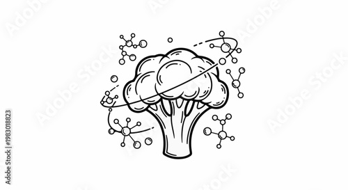 Hand-drawn broccoli surrounded by molecule-like shapes and dots