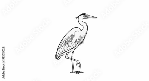 Outline sketch of a heron standing on one leg, facing right