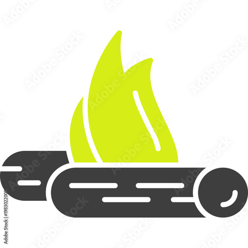 Bon Fire Vector Icon