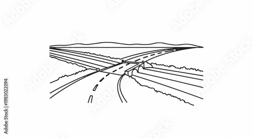An intersection of roads with a bridge overpasses creating a complex network