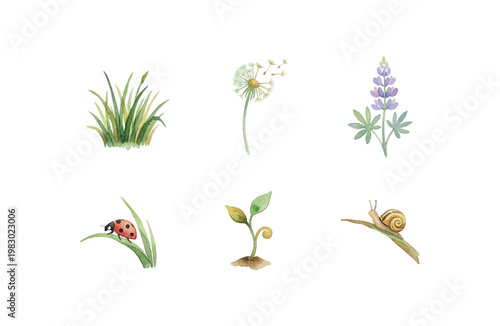 Watercolor grass and meadow icons set with wildflower sprout and snail