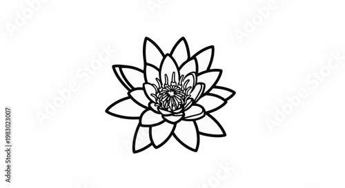 Detailed black outline of a lotus flower on a white background