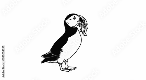 Puffin with multiple fish in its beak