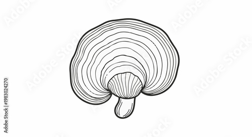 Stylized line drawing of a mushroom with concentric rings and a stalk