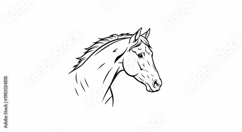 Elegant line art sketch of a horse's head and neck, facing right