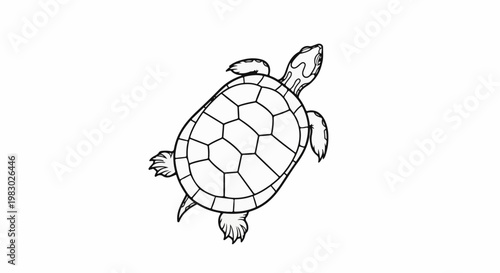 A simple line drawing of a turtle swimming, viewed from above