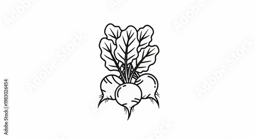 A simple black and white line drawing of three root vegetables with leafy green tops