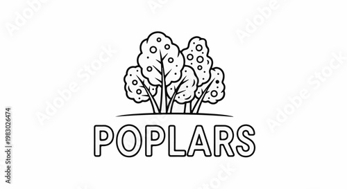 Simple line art of poplars growing from the ground