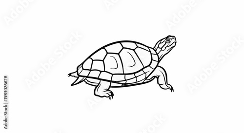 Simple line art of a turtle with its head and legs extended