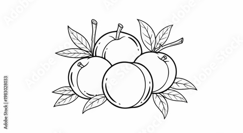 A simple line drawing of four ripe fruits with leaves and stems