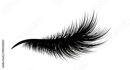 Black eyelash illustration on white background