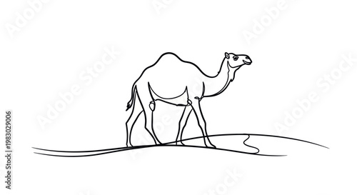 Minimalist line art drawing of a camel in the desert.