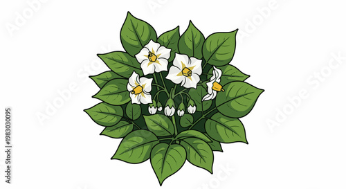 A plant with lush green leaves and delicate white flowers