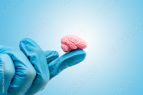 Blue gloved hand holds small pink human brain model on index finger. Intelligence, science and mind on light blue background.