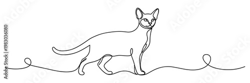 Cat walking along continuous line ground in simple outline, none editable strokes