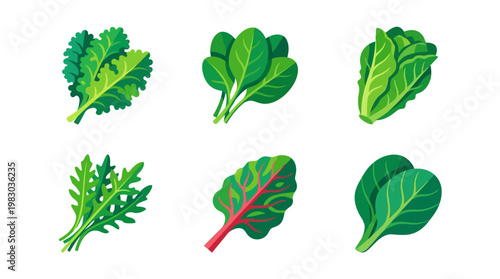 Variety of leafy green vegetable types.