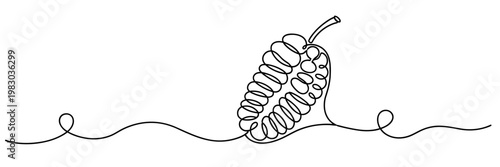 Seed pod split showing interior seeds on continuous line, none editable strokes