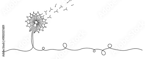 Dandelion releasing seeds blowing across horizontal line. no editable stroke