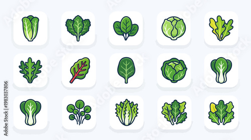 Variety of leafy green vegetables icons.