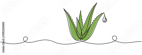 Aloe vera plant with droplet on continuous line background