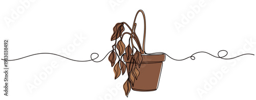 Wilted hanging plant drooping in small pot on white