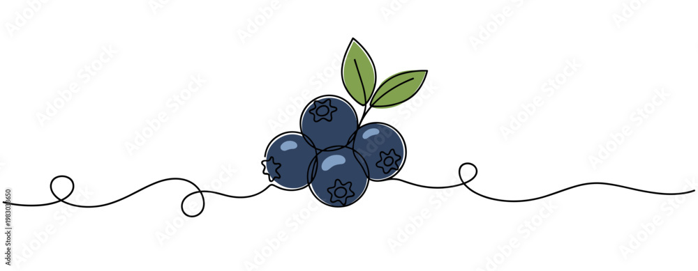 Obraz premium Cluster of blueberries with leaves on continuous line