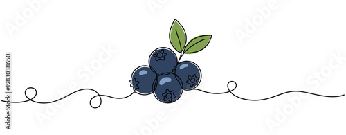 Cluster of blueberries with leaves on continuous line