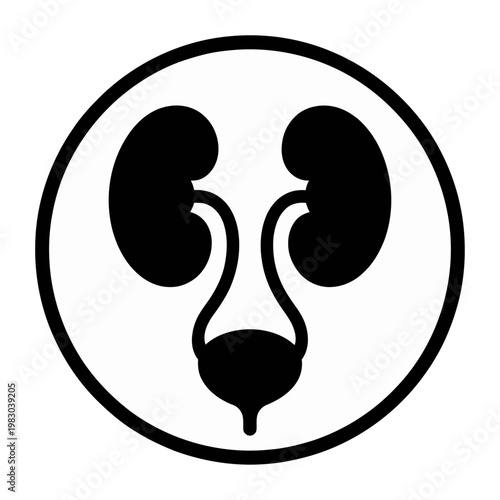 Vector graphic illustration of a human urinary system in a circular frame