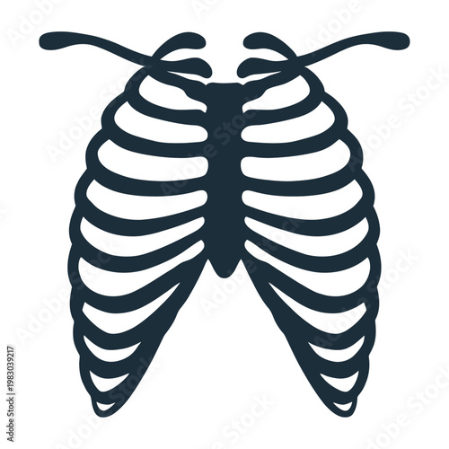 Vector of a butterfly with a ribcage design on its wings.