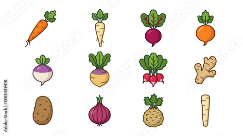Variety of root vegetables on display.