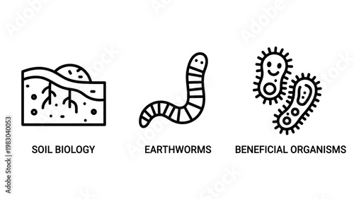 Icons for soil biology earthworms beneficial organisms with line art white background positive impact the environment living organism earthworms illustration creature environment microorganis