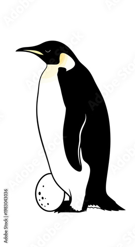 Emperor Penguin with Egg Illustration.