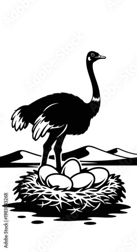Ostrich Standing Proudly Over Its Nest of Eggs.