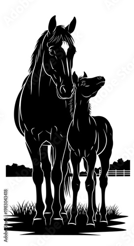 Silhouette of a mare and her foal standing together in a field.