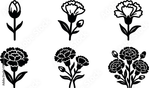 Black and white carnation flower growth stages vector art illustrations