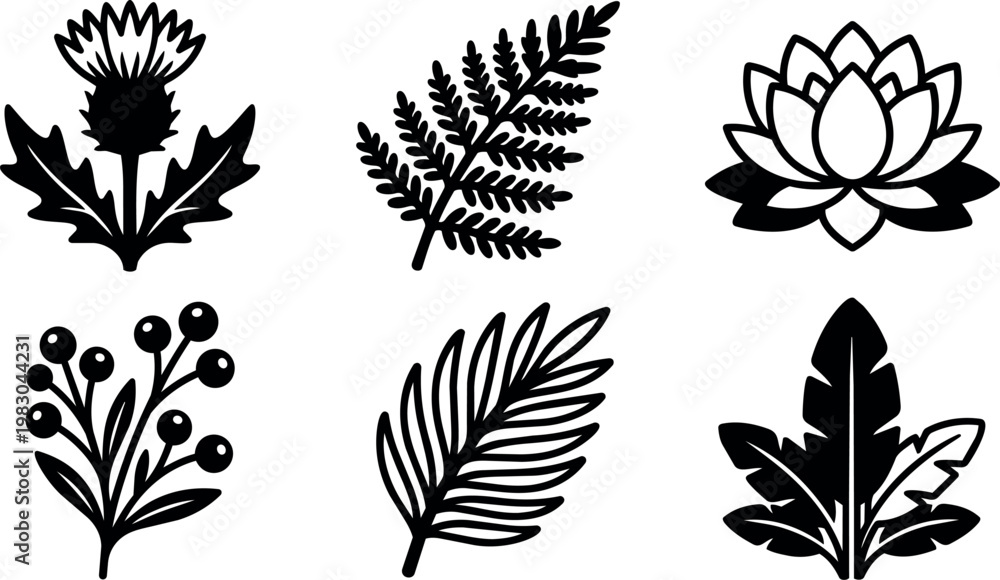 Fototapeta premium Black silhouette floral botanical leaves and flower vector art
