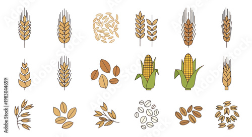 Variety of grains and seeds collection.