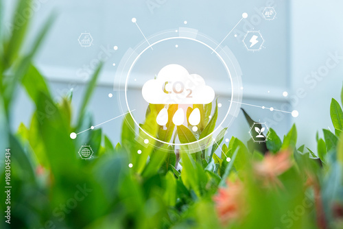 Energy power electric environment from nature concept, wet green leaves nature background.