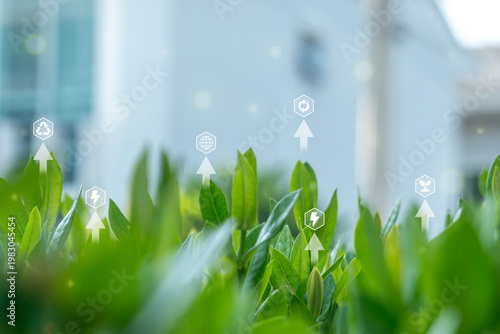 Green plants with environmental icons representing eco-friendly concepts, renewable energy, sustainability. Perfect for green technology, CSR ecological awareness campaigns.